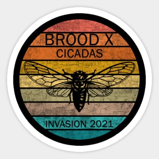 Cicada Brood X 2021 Sticker